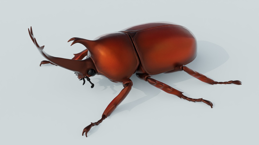 カブトムシ 3Dモデル