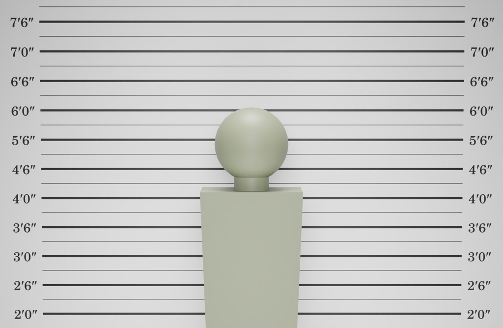 マグショット 3Dモデル