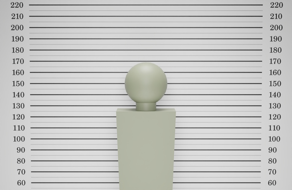 マグショット 3Dモデル