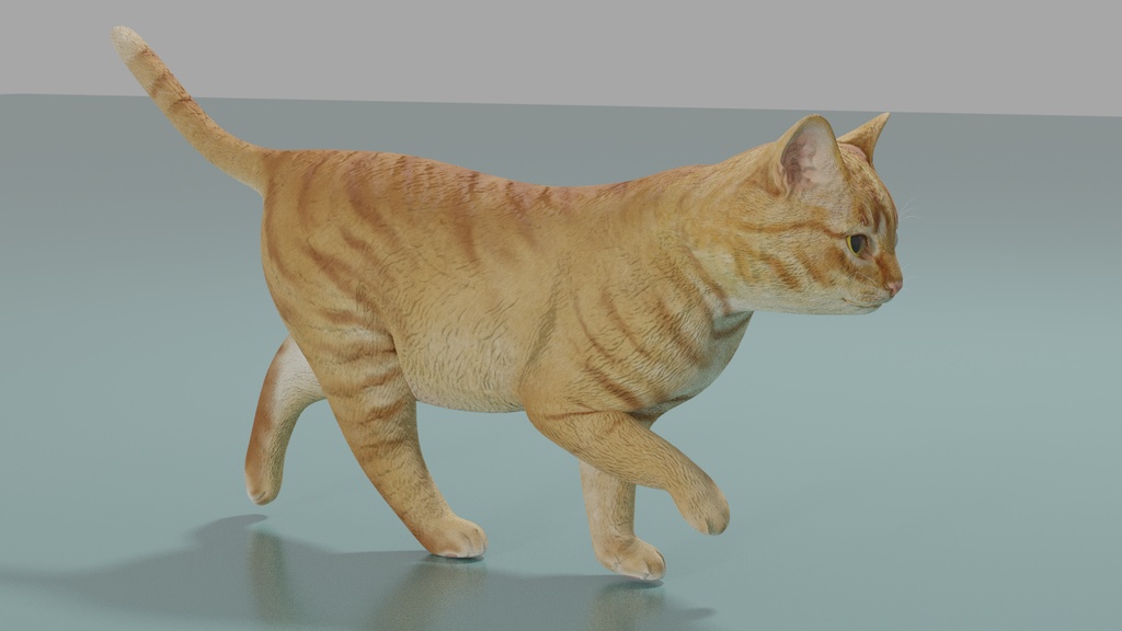 猫(茶トラ) 3Dモデル