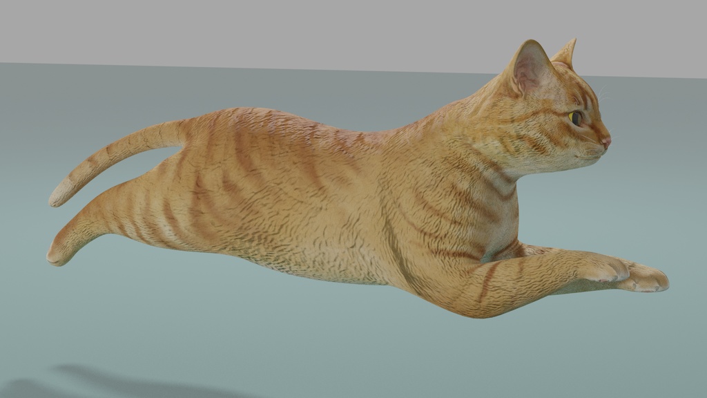 猫(茶トラ) 3Dモデル