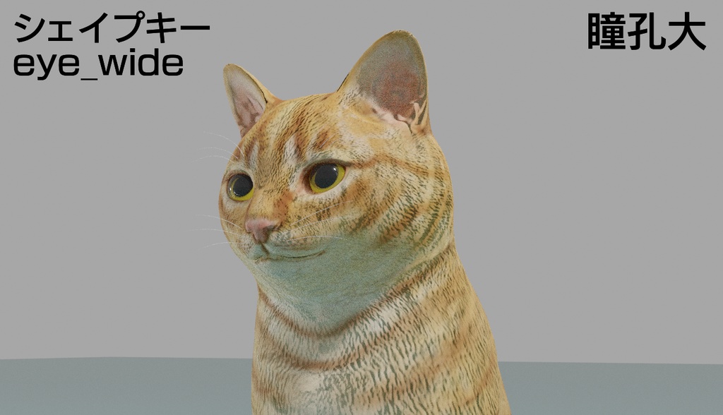 猫(茶トラ) 3Dモデル
