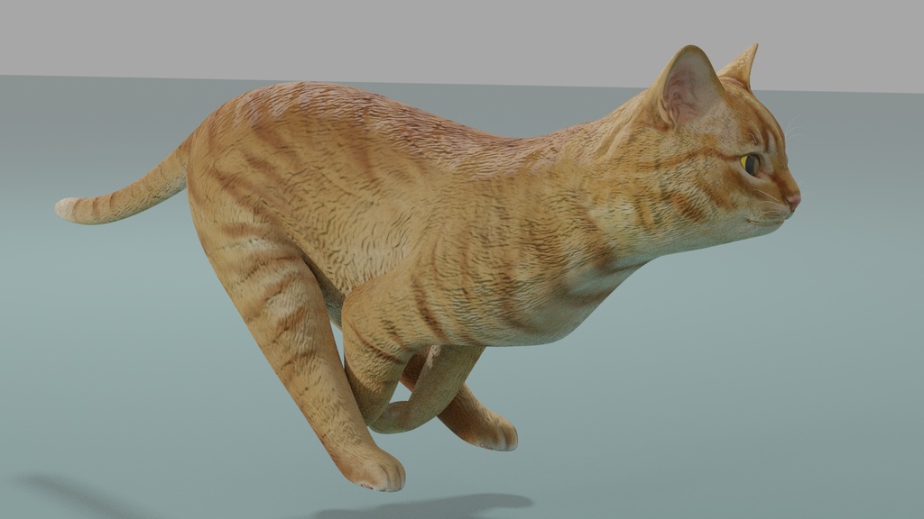 猫(茶トラ) 3Dモデル