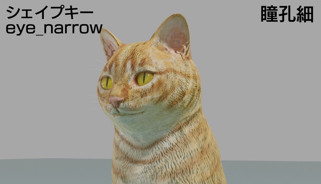 猫(茶トラ) 3Dモデル