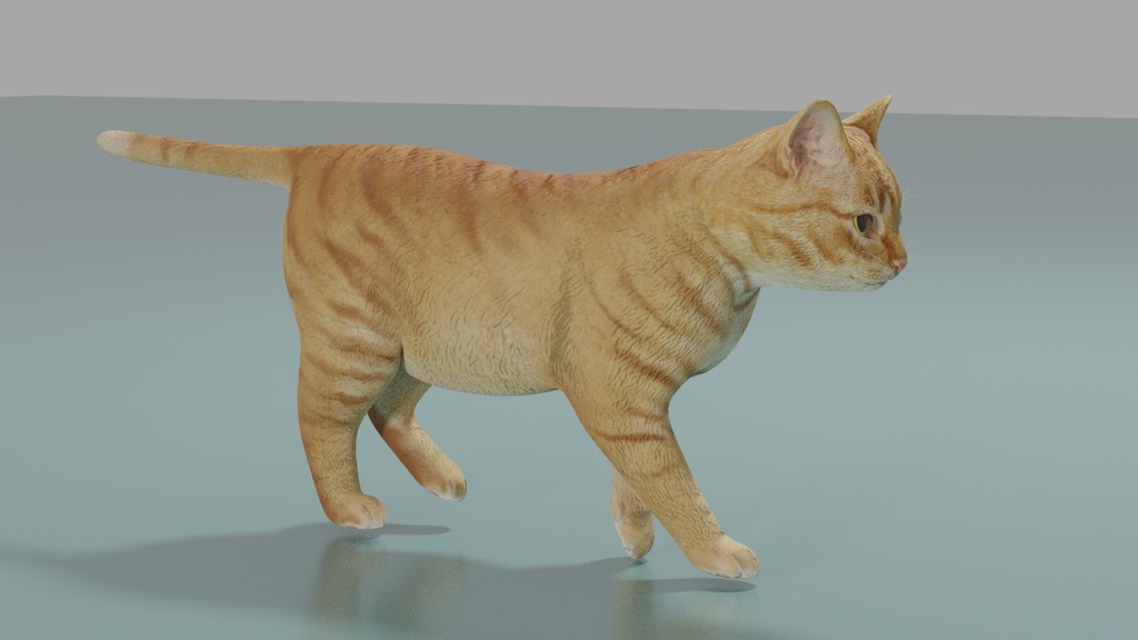 猫(茶トラ) 3Dモデル