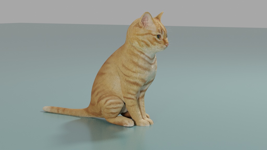 猫(茶トラ) 3Dモデル