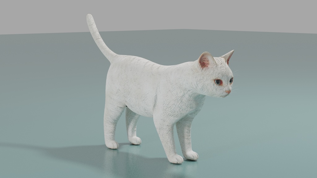 猫(白) イメージテクスチャー