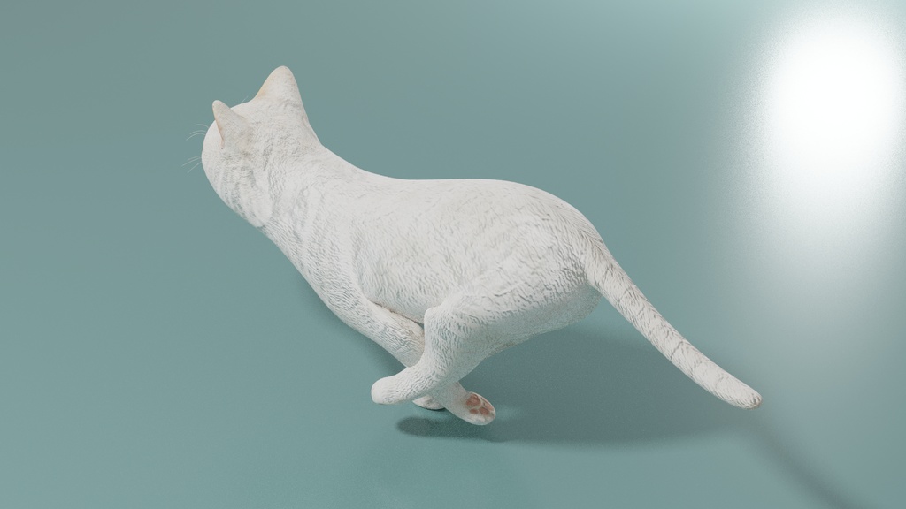 猫(白) イメージテクスチャー