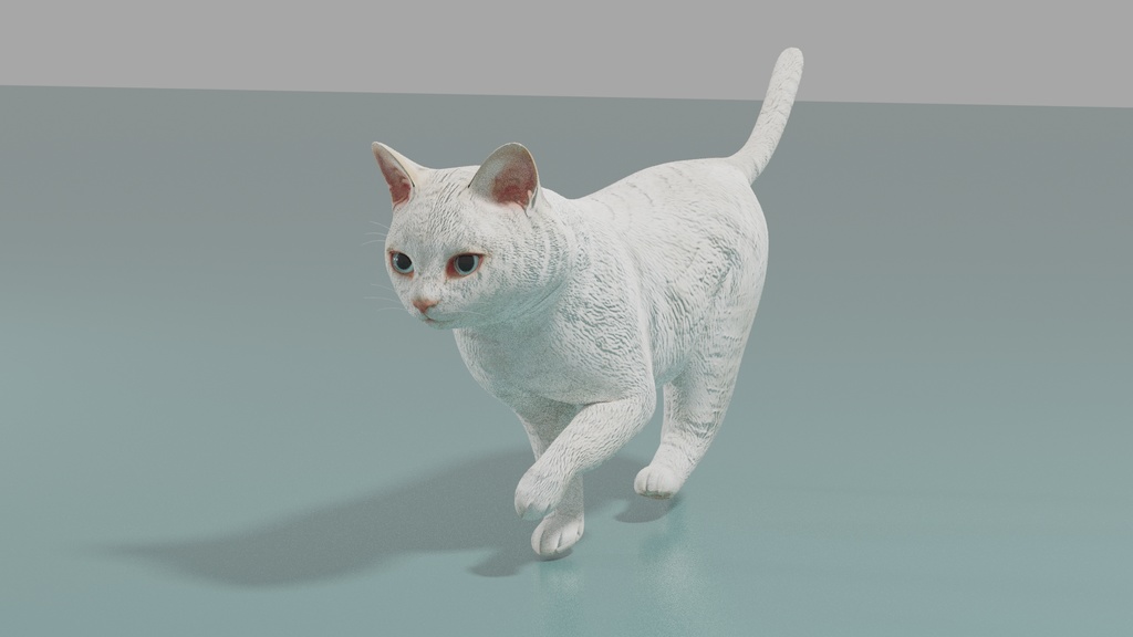 猫(白) イメージテクスチャー