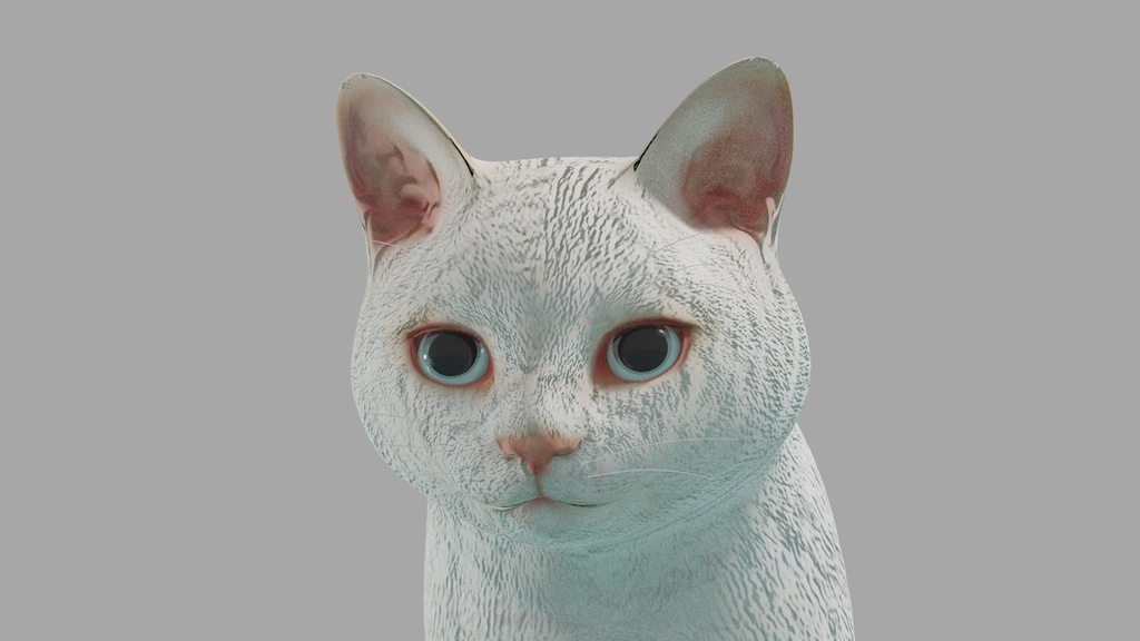 猫(白) イメージテクスチャー