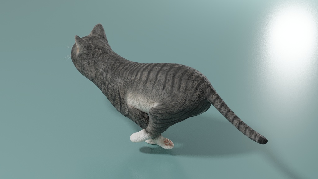 猫(キジ白) イメージテクスチャー
