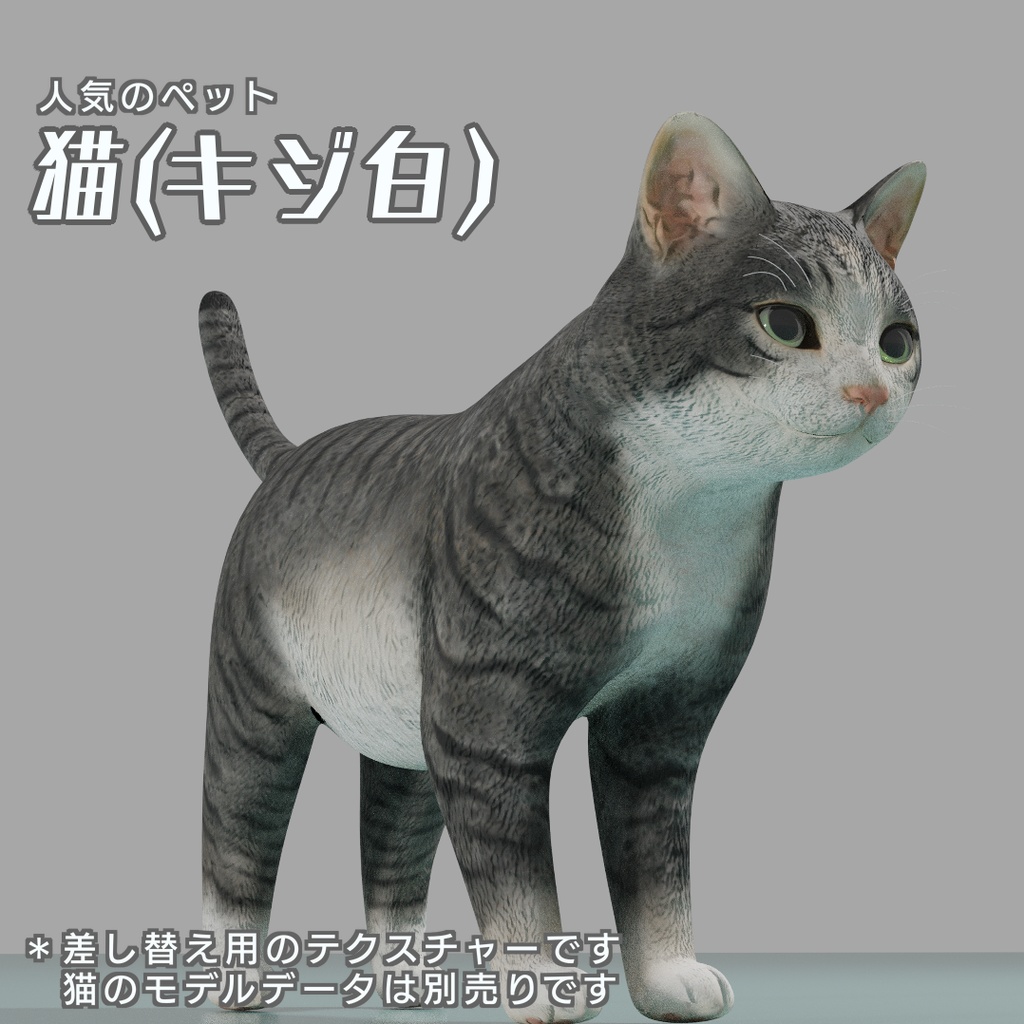 猫（キジ白）　イメージテクスチャー