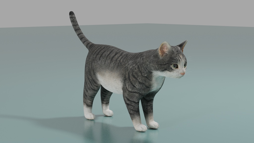 猫(キジ白) イメージテクスチャー