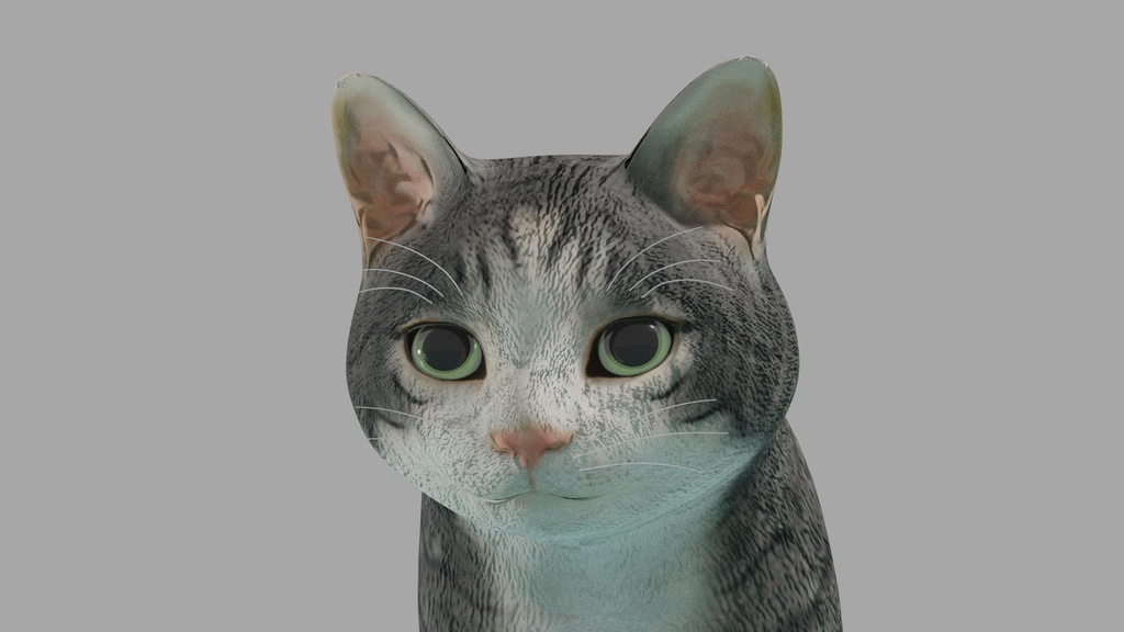 猫(キジ白) イメージテクスチャー
