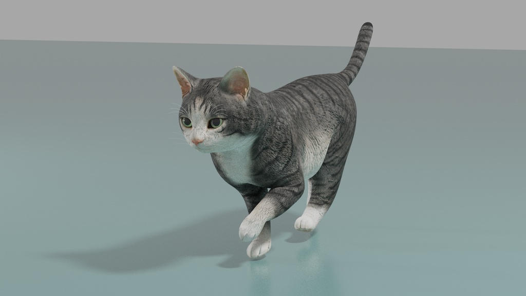 猫(キジ白) イメージテクスチャー