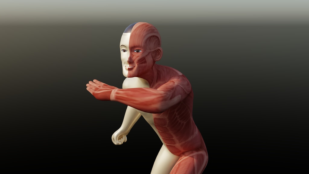 人体模型 オリジナルVRCモデル