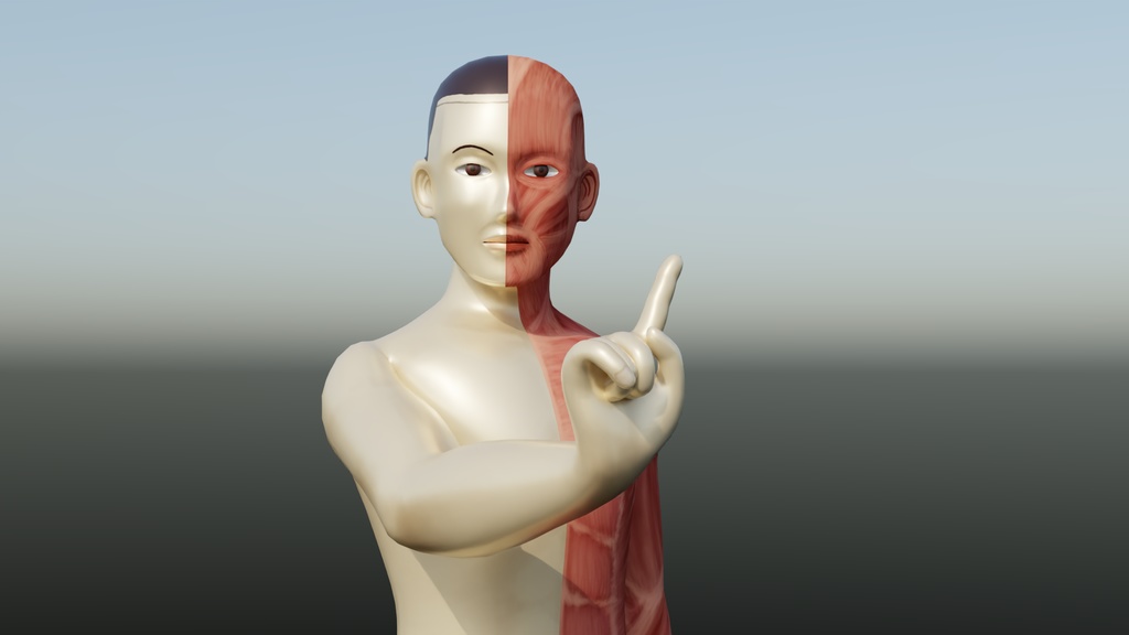 人体模型 オリジナルVRCモデル