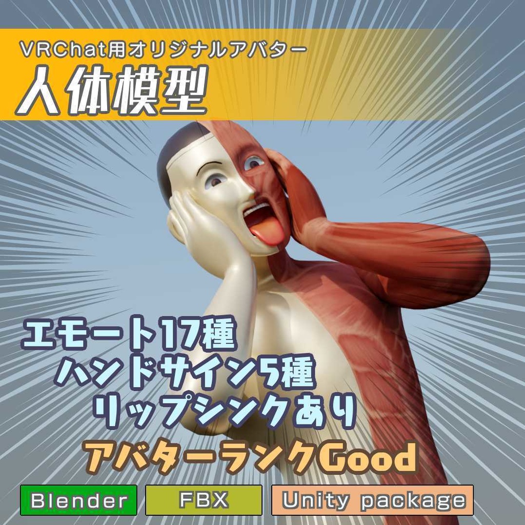 人体模型　オリジナルVRCモデル