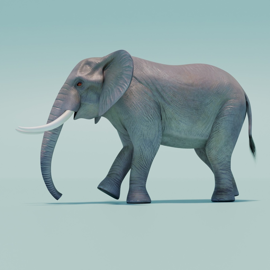 アフリカゾウ 3Dモデル