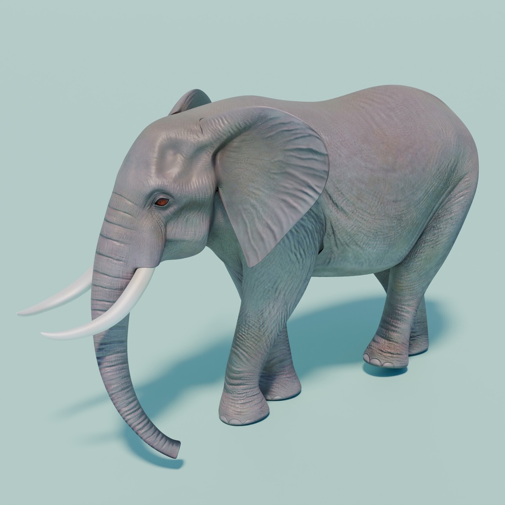 アフリカゾウ 3Dモデル