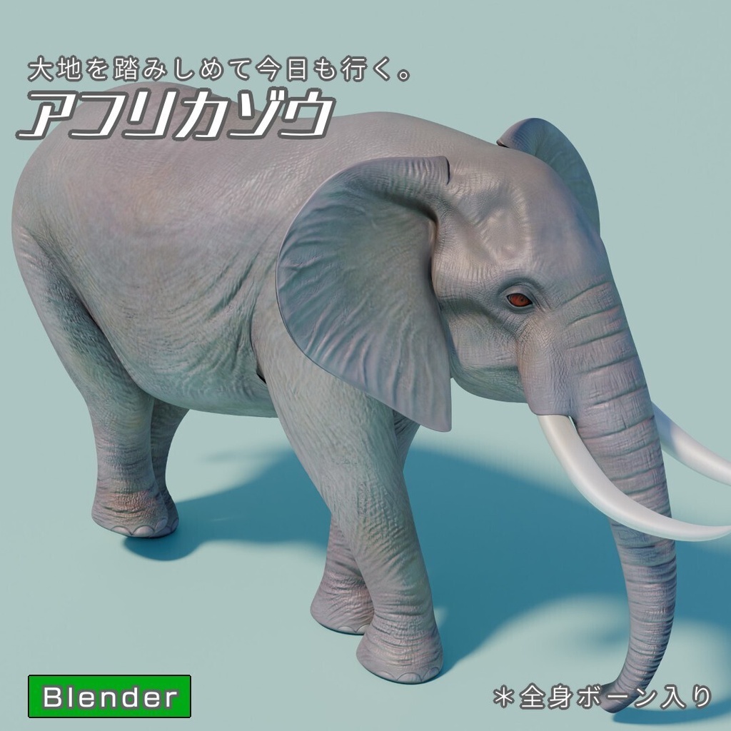 アフリカゾウ　3Dモデル