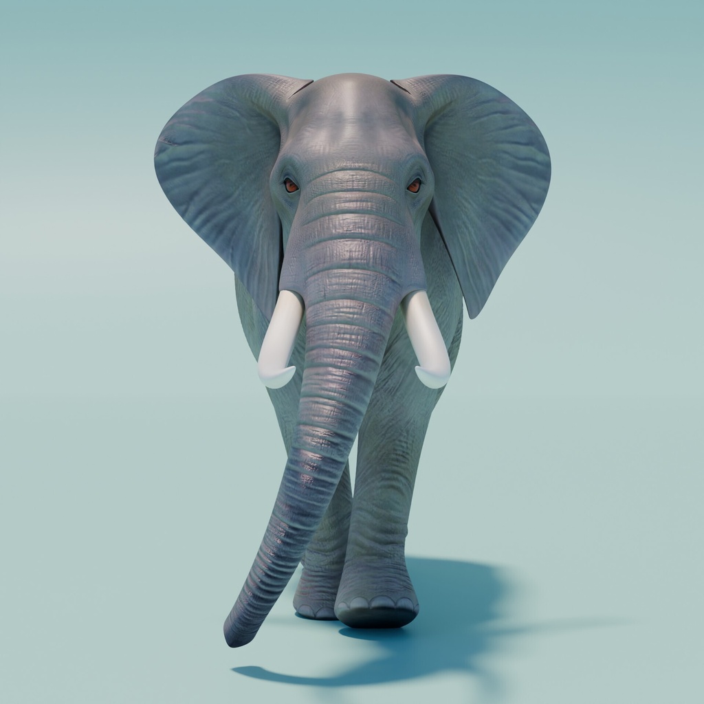 アフリカゾウ 3Dモデル