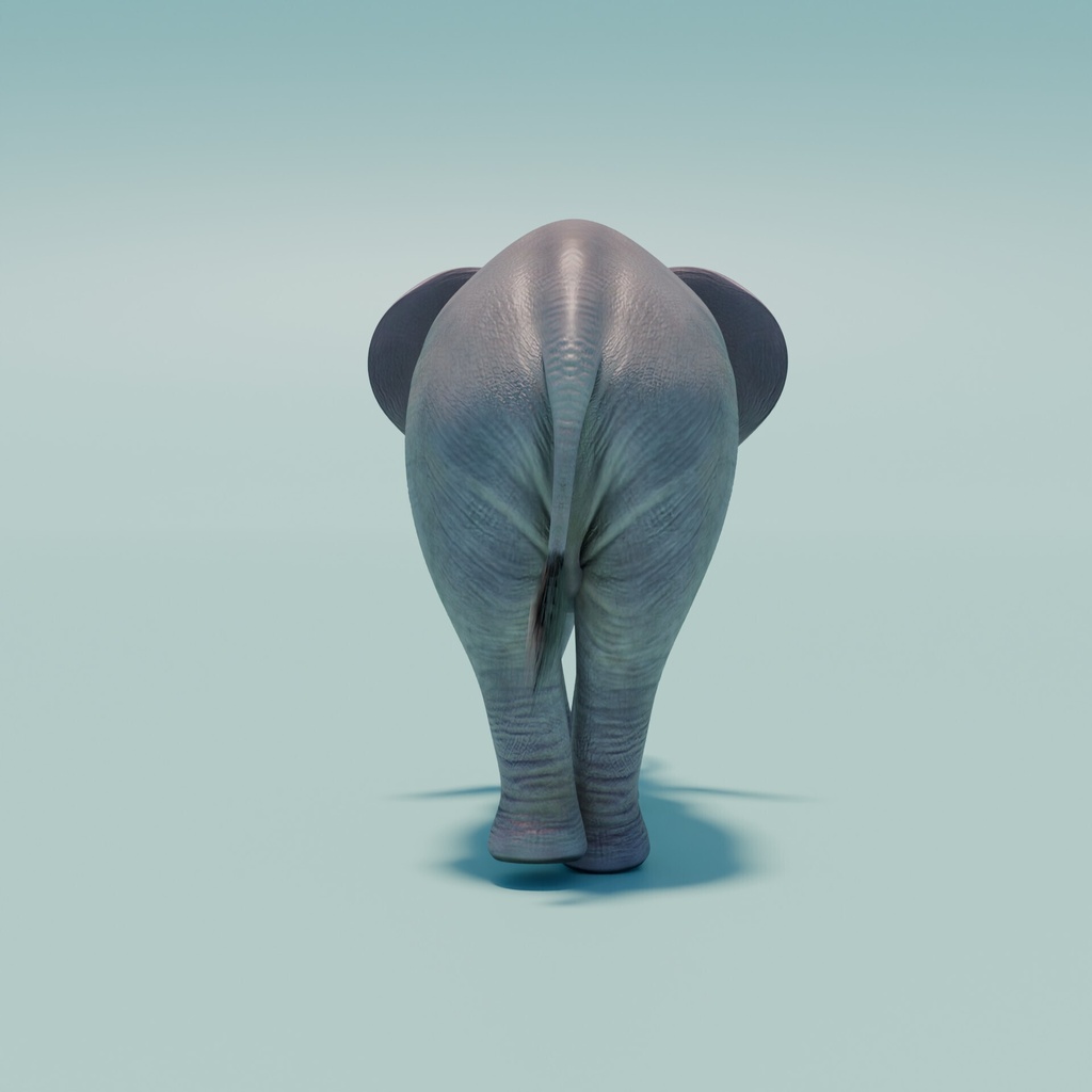 アフリカゾウ 3Dモデル