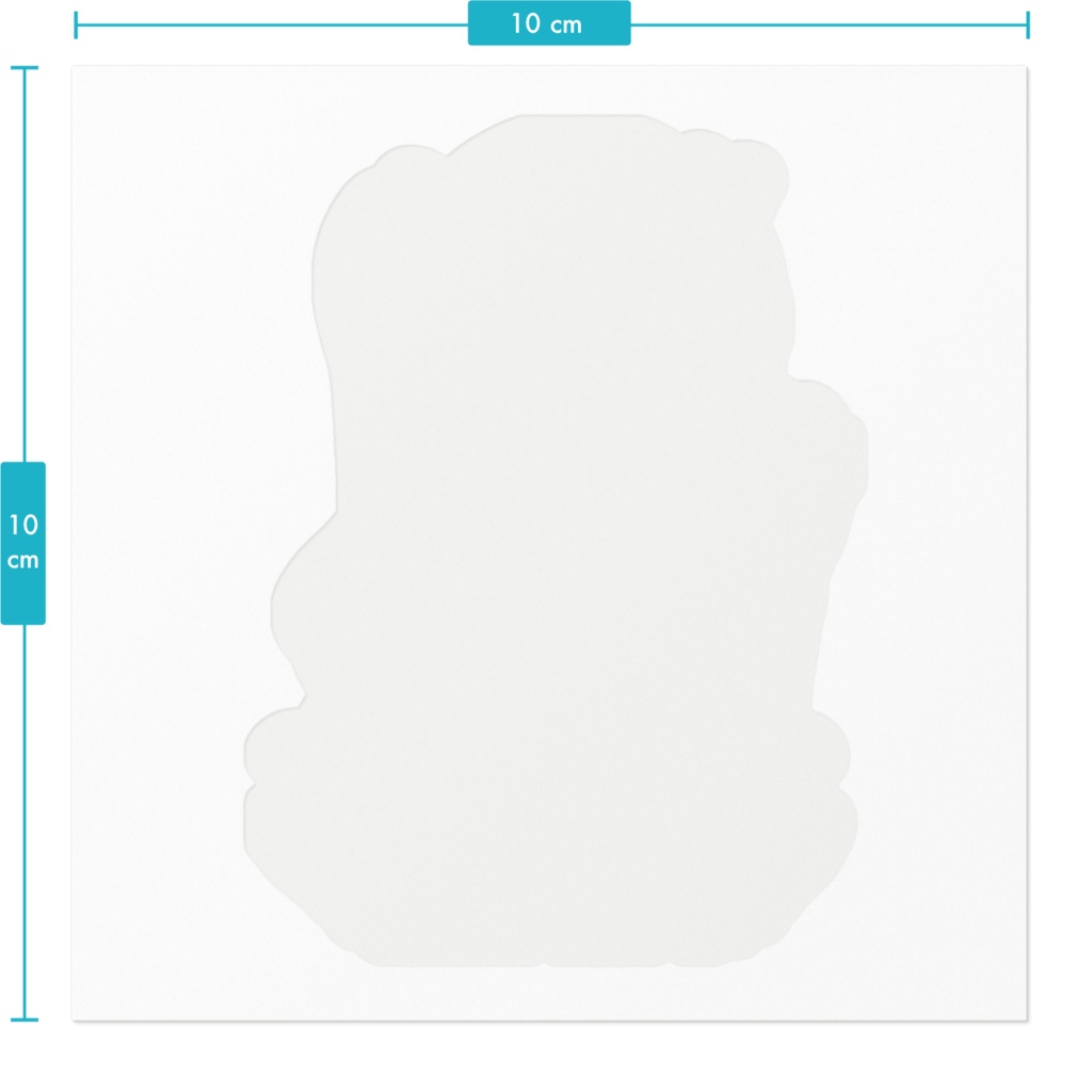 【EMST】レオパードゲッコースーパーマックスノーステッカー