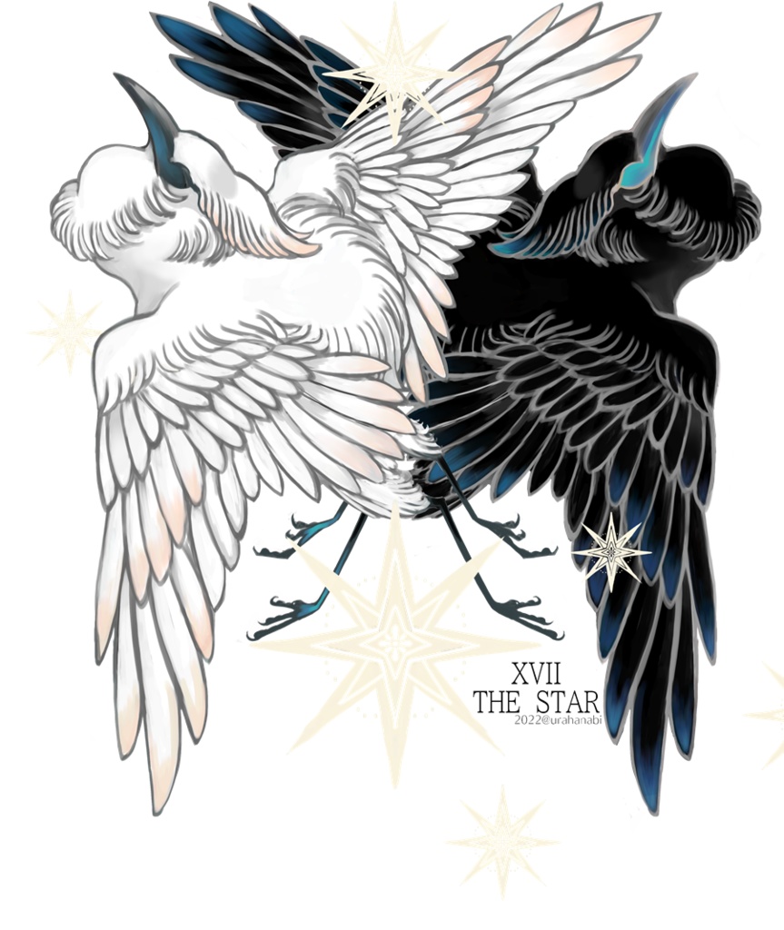 THE STAR 白鷺と黒鷺2