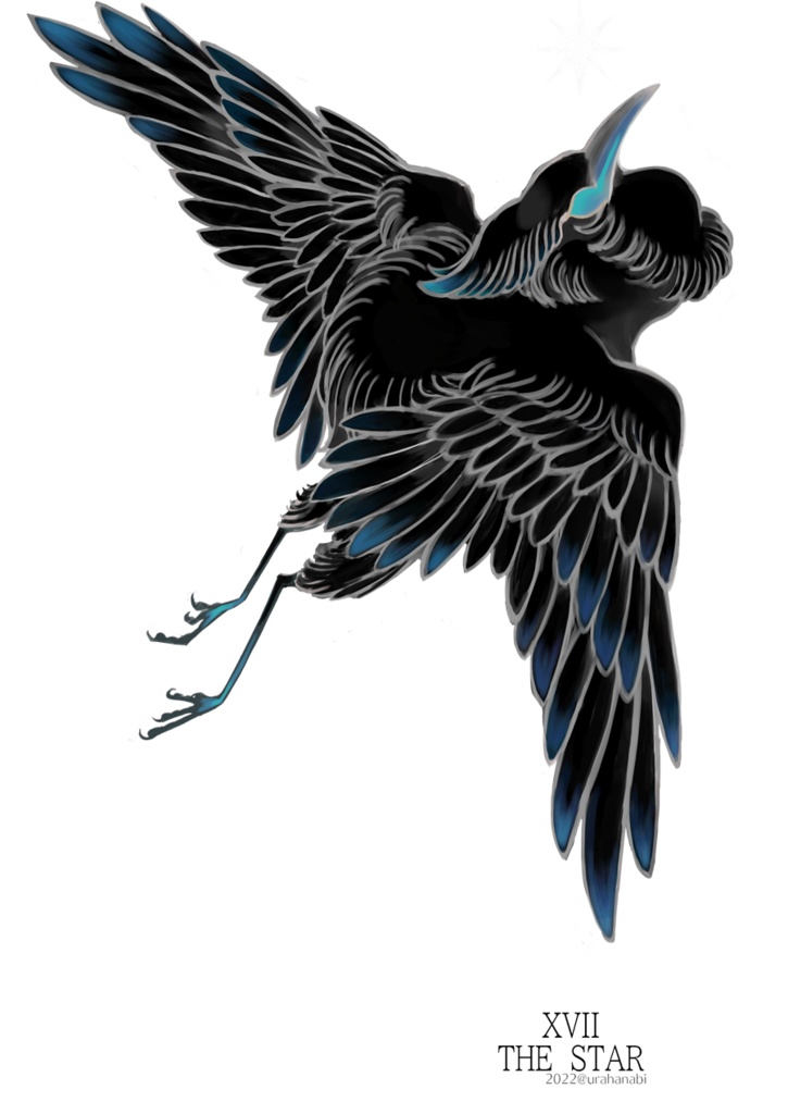 THE STAR 黒鷺