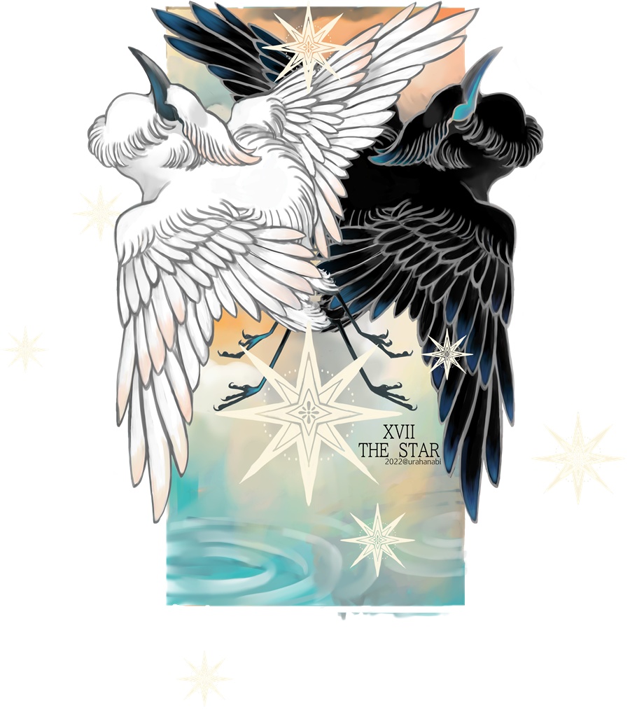 THE STAR Tシャツ黒