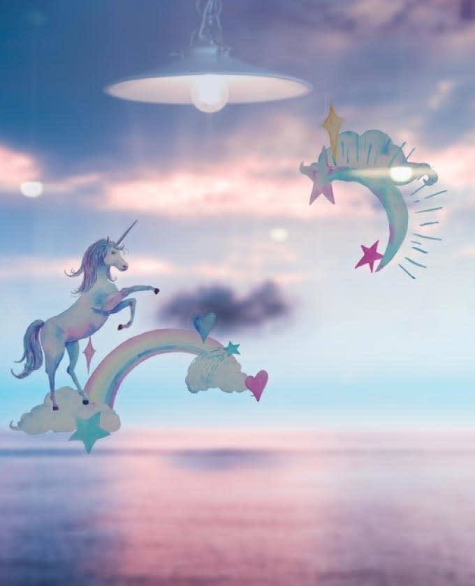 金烏~カラスの王様