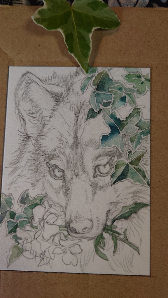 直筆ATC ブランカ