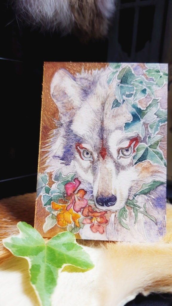 直筆ATC ブランカ