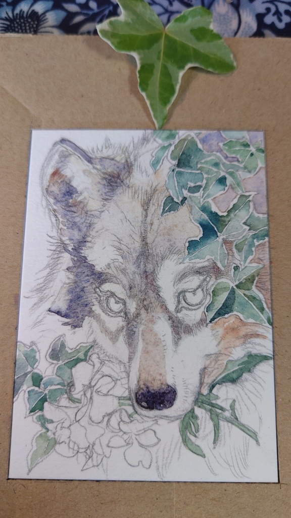 直筆ATC ブランカ