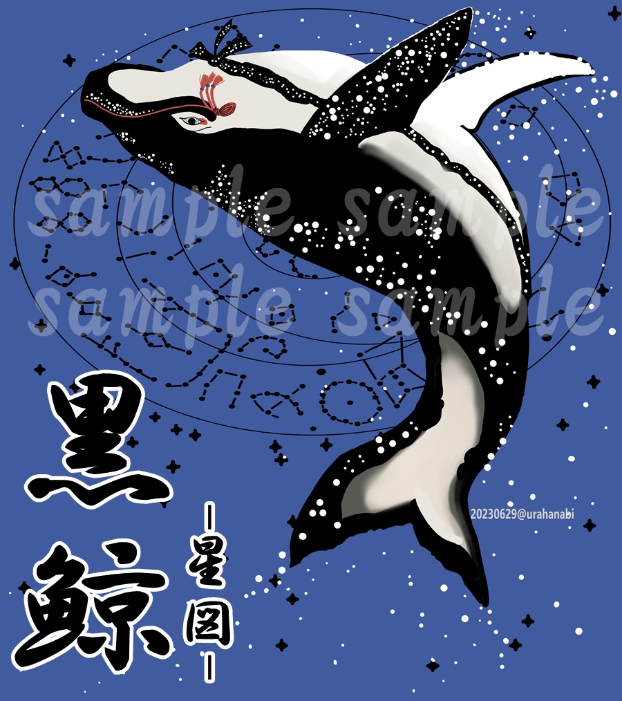 黒鯨-星図-(正面プリント)