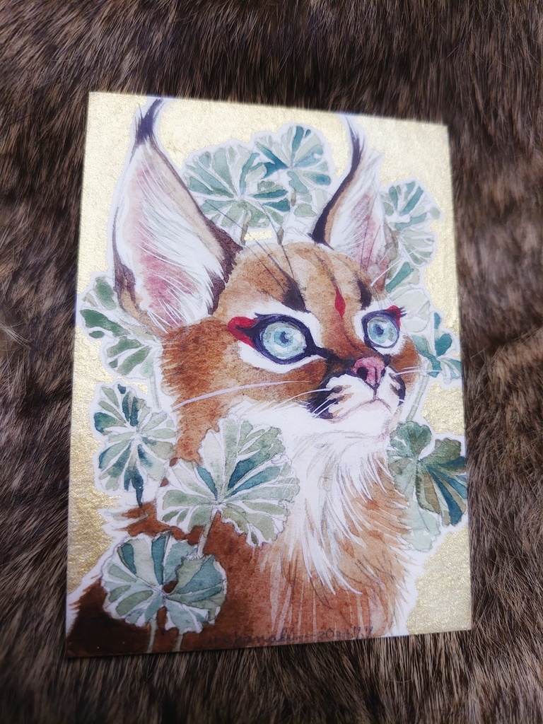 直筆ATCカラカル「金玉糖」