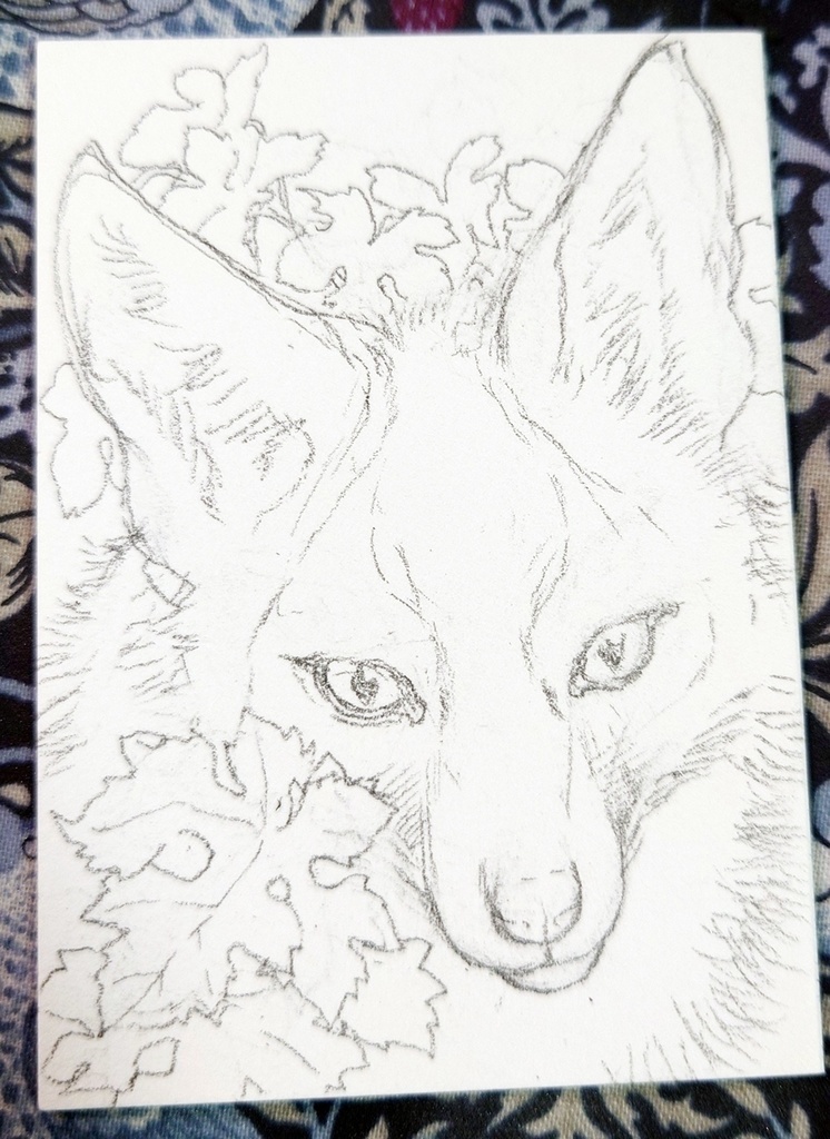 直筆ATC十字狐「シトゥンペカムイ」