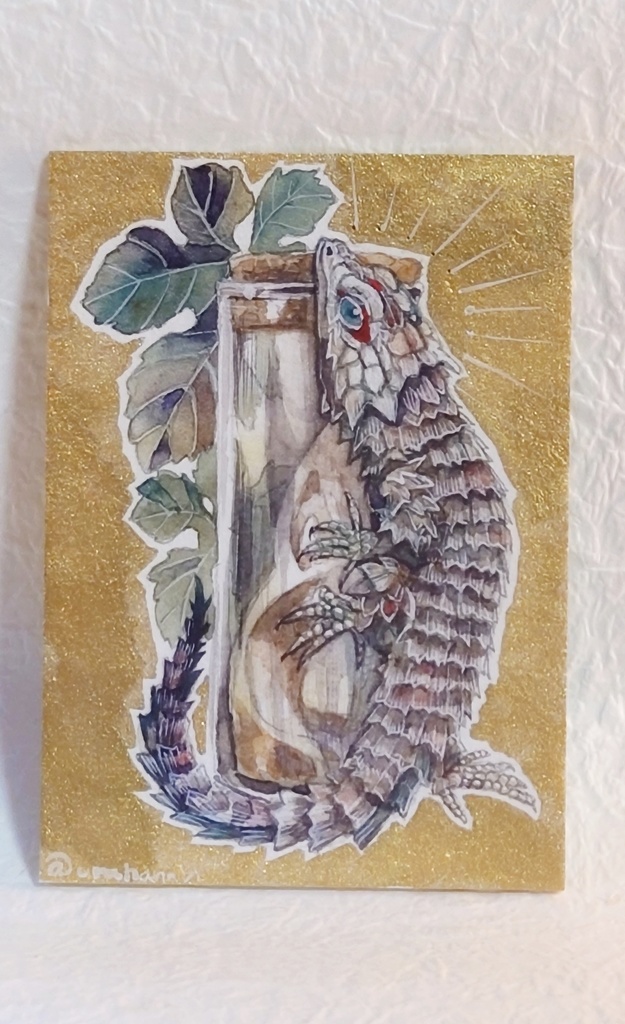 直筆ATCアルマジロトカゲ「時を詰めた瓶に」