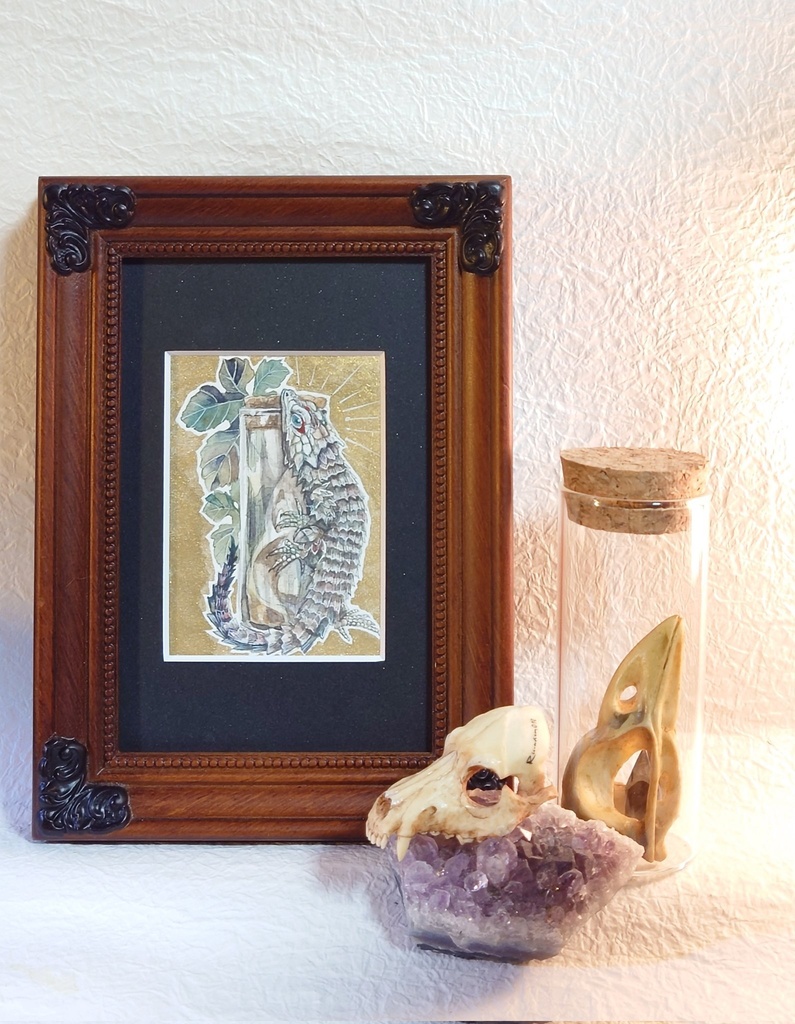 直筆ATCアルマジロトカゲ「時を詰めた瓶に」