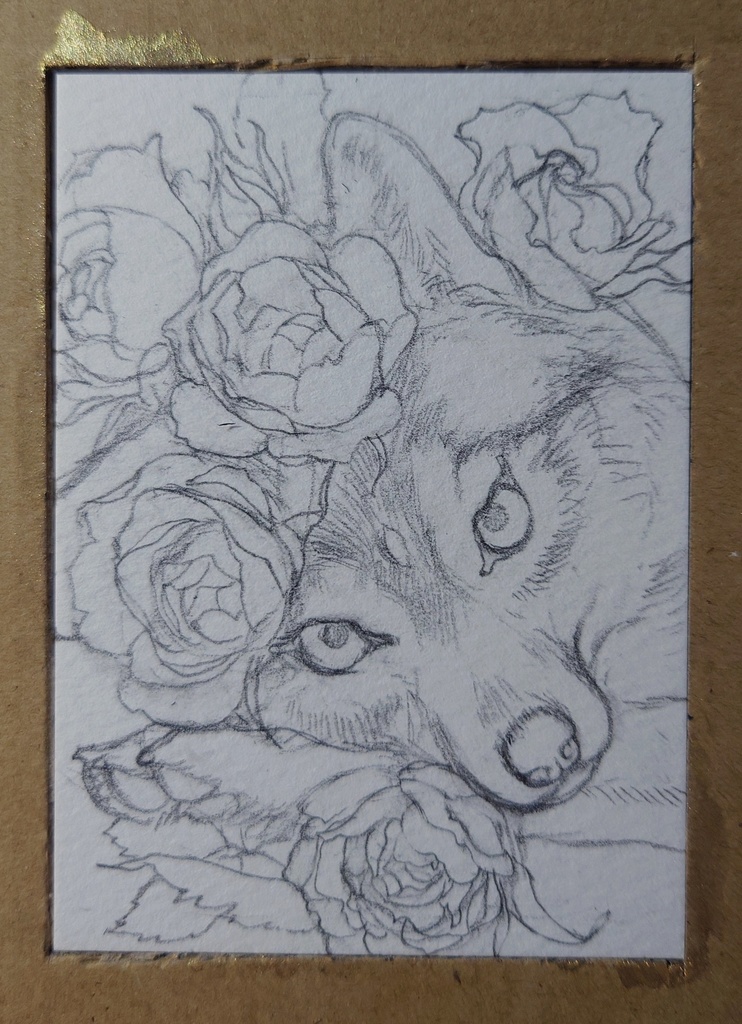 直筆ATC 花と狼「白風」