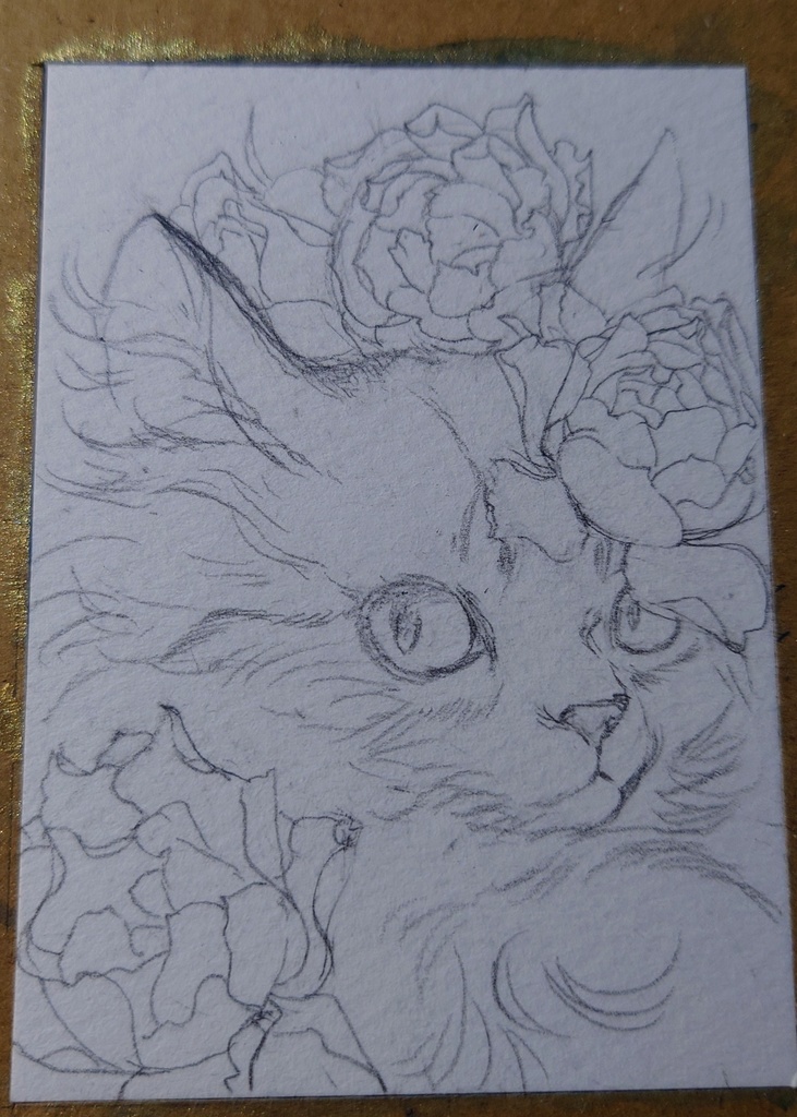 直筆ATC 猫「天つ風」