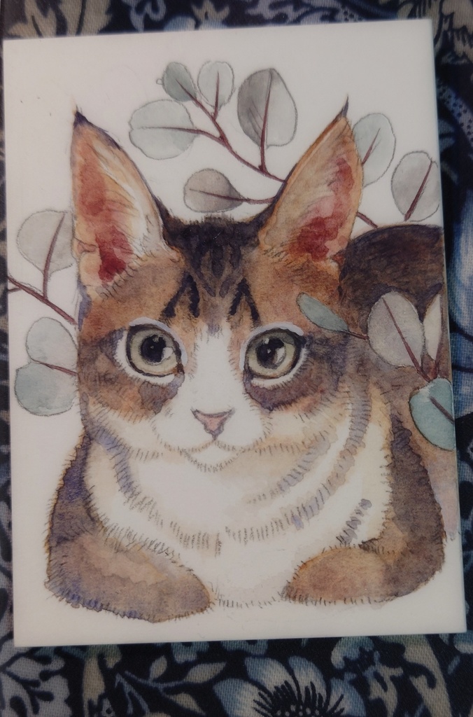 直筆ATC「きみを見つめる」