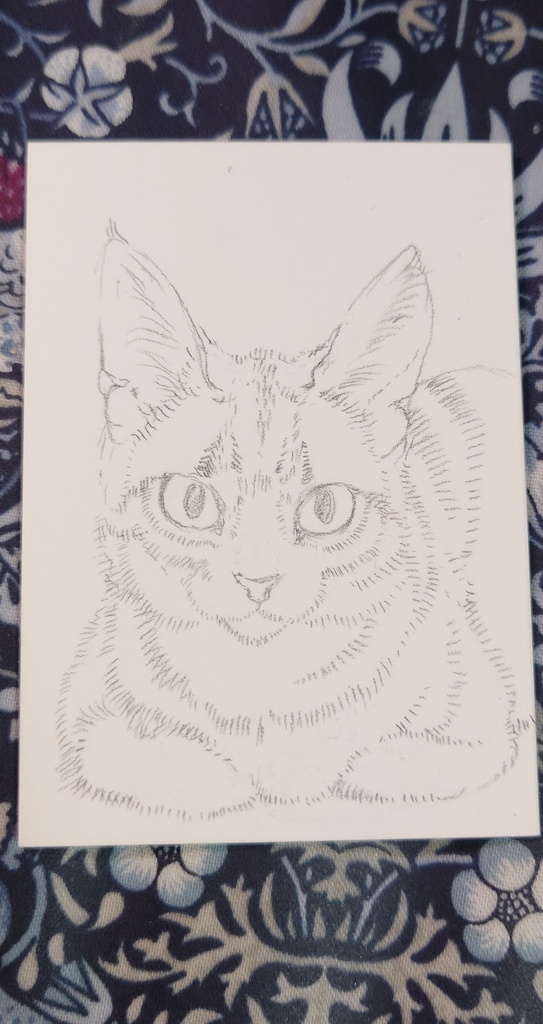 直筆ATC「きみを見つめる」