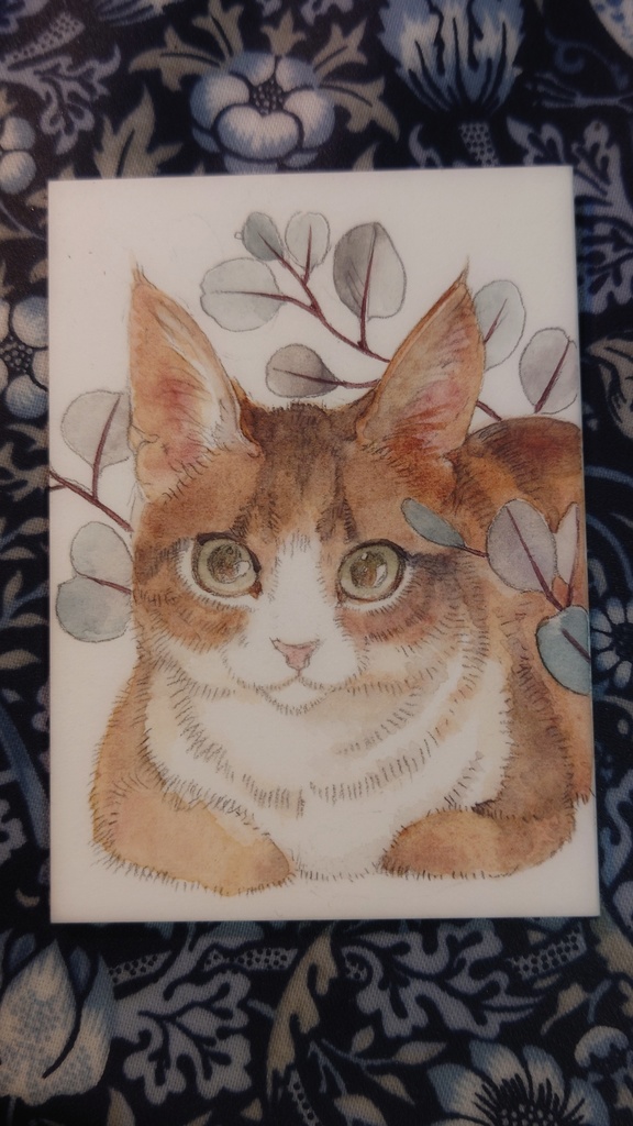 直筆ATC「きみを見つめる」