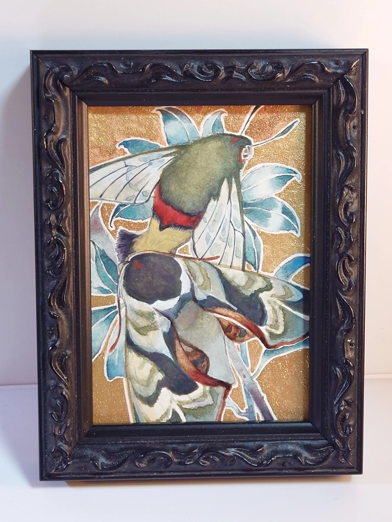 直筆ATC「仙蛾」