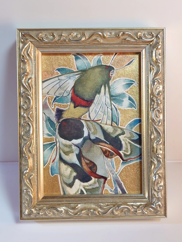 直筆ATC「仙蛾」