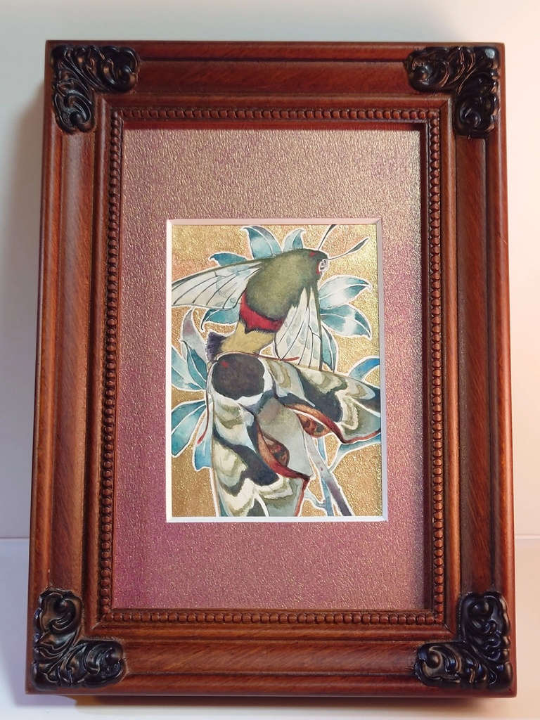 直筆ATC「仙蛾」