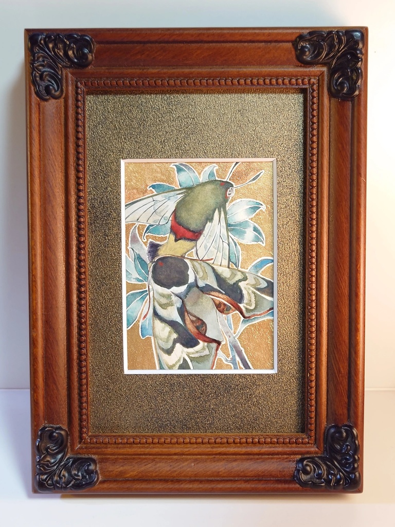 直筆ATC「仙蛾」