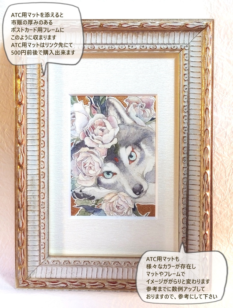 直筆ATC「仙蛾」